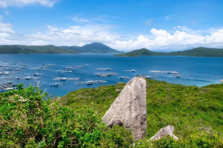 鲸鱼岛度假之旅 — 四日游