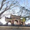大叻山地休闲游 — 三日游