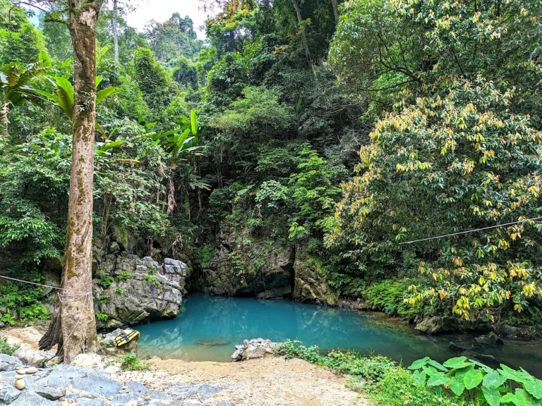 Phong Nha 洞穴与 Vinh Moc 地道（两天）
