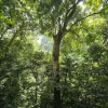 竹林国家公园与华闾古都