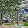 竹林国家公园与华闾古都