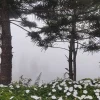 巴拿山一日游