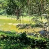 竹林野生动物体验 – 两天