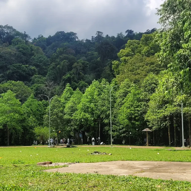 竹林野生动物体验 – 两天