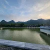 竹林野生动物体验 – 两天