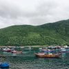 芽庄浮潜