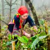 Trekking Montañas y Valles Sapa