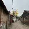 Pagodas y Aldea Duong Lam 2025