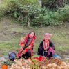 Aventura Combinada en el Norte de Vietnam (15 días)