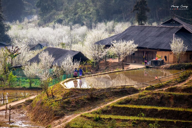 Trekking Tribus Montañosas Sapa