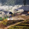 Trekking Mini Aldeas Sapa