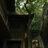 Pagodas y Aldea Duong Lam 2025