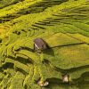 Trekking Montañas y Valles Sapa
