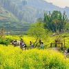 Trekking Tribus Montañosas Sapa