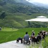 Trekking Montañas y Valles Sapa