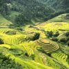 Aventura Combinada en el Norte de Vietnam (15 días)