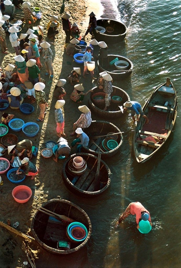 Le marché aux poissons de Hàm Tử à l’aube