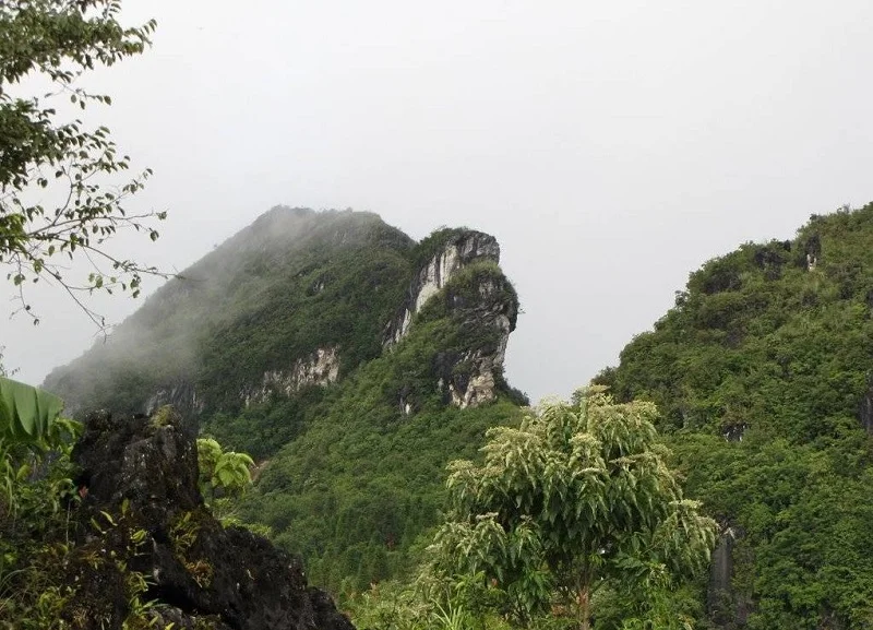 Le mont Ham Rong offre des paysages magnifiques, entre nuages, ciel et fleurs, idéals pour les voyageurs en quête de découverte.
