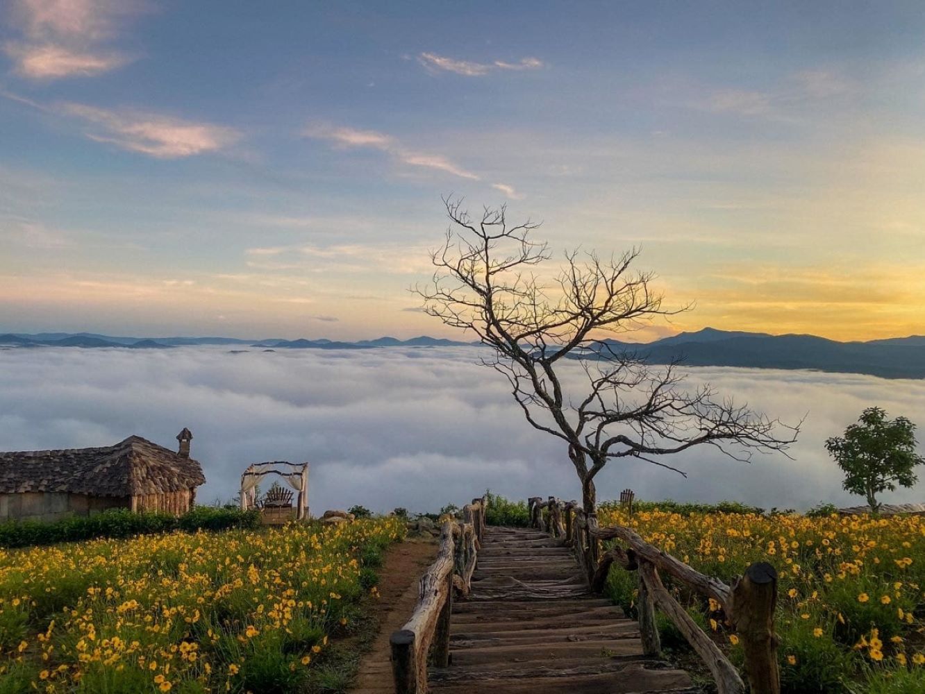 Chasser les nuages à Đà Lạt.