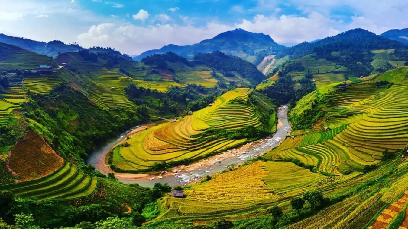 La vallée de Mường Hoa, célèbre pour ses rizières verdoyantes, ses terrasses et ses paysages majestueux.