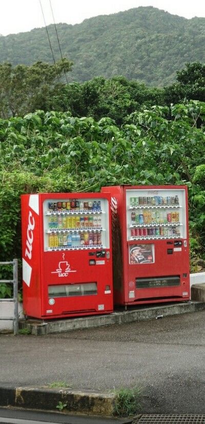 Les distributeurs automatiques de boissons sont présents partout dans les rues japonaises.