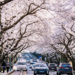 Une destination romantique à ne pas manquer.