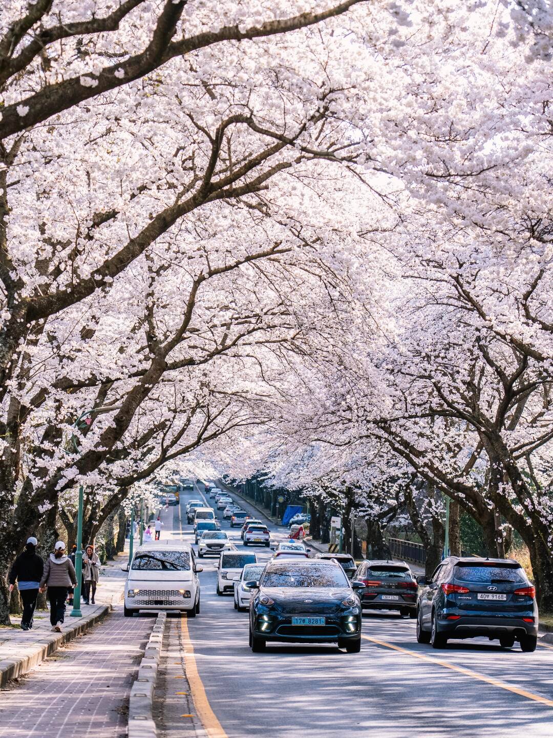 Une destination romantique à ne pas manquer.