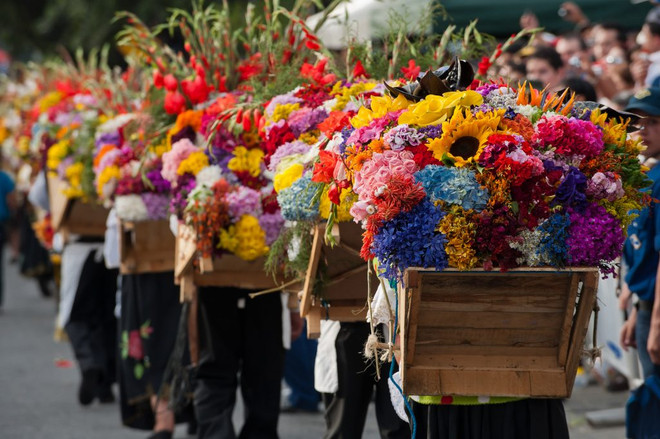 Les paysans portant des fleurs sur le dos lors du festival coloré Feria de las Flores.