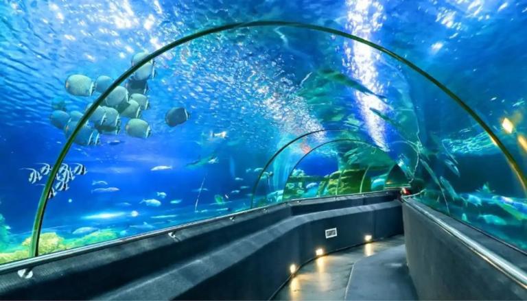 L’Istituto di Oceanografia di Nha Trang conserva un tesoro di conoscenze e la bellezza multicolore del mondo marino.