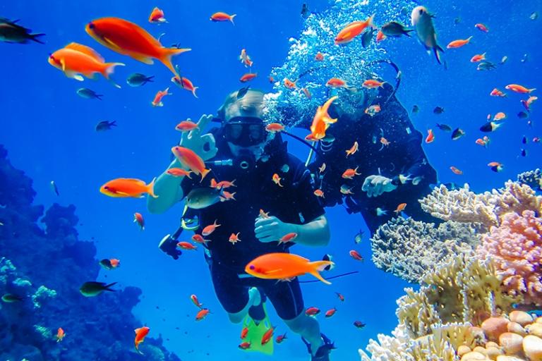 I visitatori possono partecipare a tour di immersione per ammirare le colorate barriere coralline.