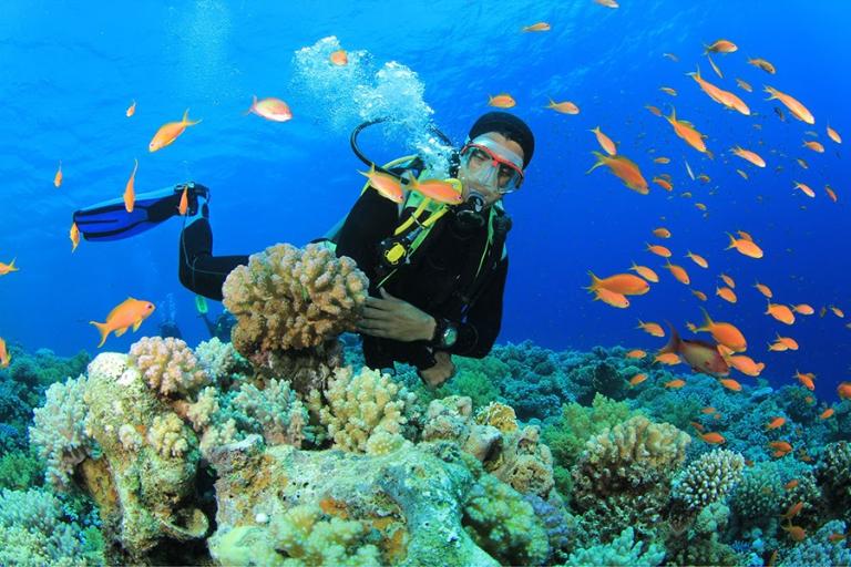 Snorkeling per ammirare la barriera corallina