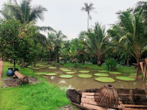 ビンクオイエコツーリズムエリアの南部の雰囲気が強い緑地