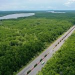 サイゴンのグリーン観光地