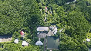 ダンサイ観光地は美しい「緑のオアシス」のようです