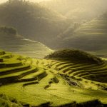 ベトナム旅行ガイド