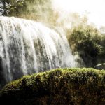 ダラットで最も美しい滝トップ5