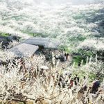 チェックイン時に絶景が楽しめるモクチャウの観光地トップ5