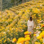 ダラットの花園は魅惑的