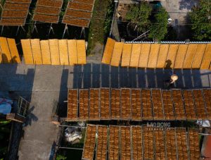 フンイエン省クインアン町ドゥダイ村で、ライスペーパーを詰めた竹垣が天日干しされている。写真：トロン・クン