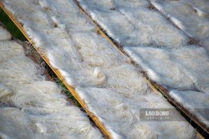 ライスペーパーは市場で販売される前に基準値まで乾燥される。写真：Trong Cung