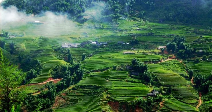 TP.HCM – HẠ LONG – NINH BÌNH – MỘC CHÂU – MAI CHÂU 5D4N - Ảnh 6