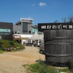 Exploring the Weird Side of Korea: 5 Awesome Off-Beat Places Around Seoul