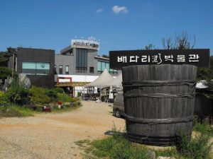 Exploring the Weird Side of Korea: 5 Awesome Off-Beat Places Around Seoul