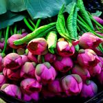 6 Most Attractive Flower Seasons in Vietnam