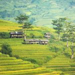 Best Time To Visit Sapa – For Your Best Travel Experience