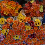 Flower Markets in Hanoi – Prepare For the Tet Holiday