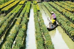 8 Best Ways To Experience Mekong Delta In Vietnam - FocusAsia Travel