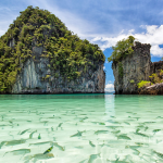 How to Experience the Authentic Side of Phuket