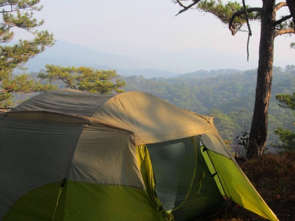 Camping in pine tree forest