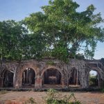 A 100-year-old communal house under Bodhi tree roots